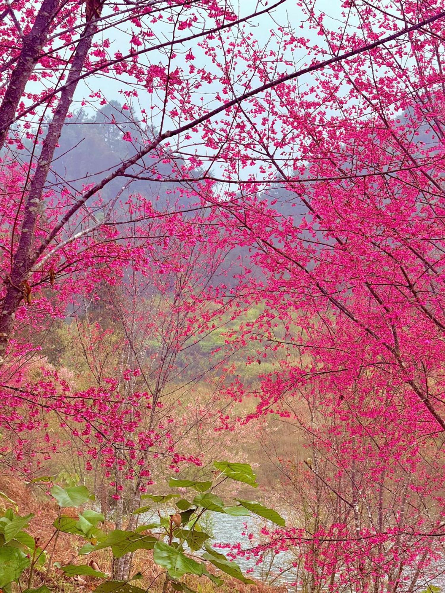 Huy Man Homestay Hà Giang Zewnętrze zdjęcie